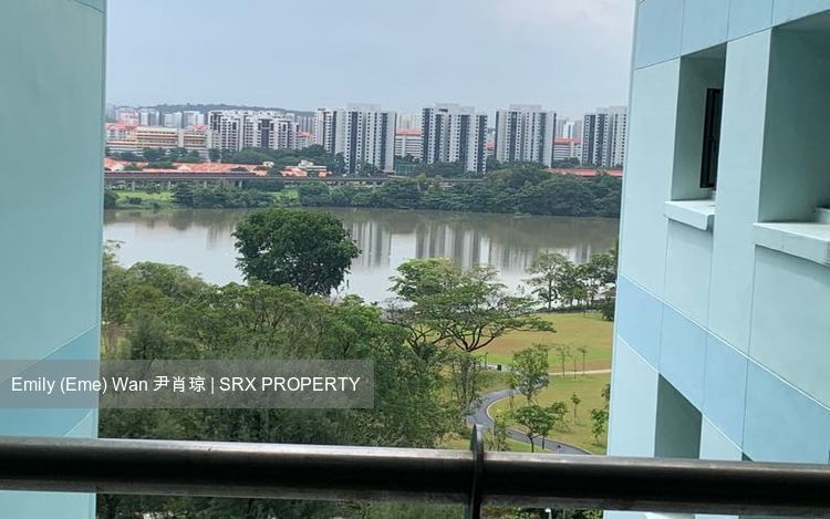 Blk 336 Tah Ching Road (Jurong West), HDB Executive #205786171